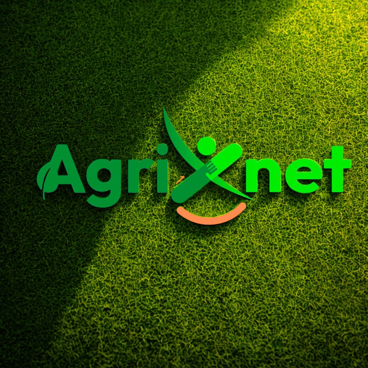 Une innovation numérique au service de l’agriculture togolaise : AgriXnet est là
